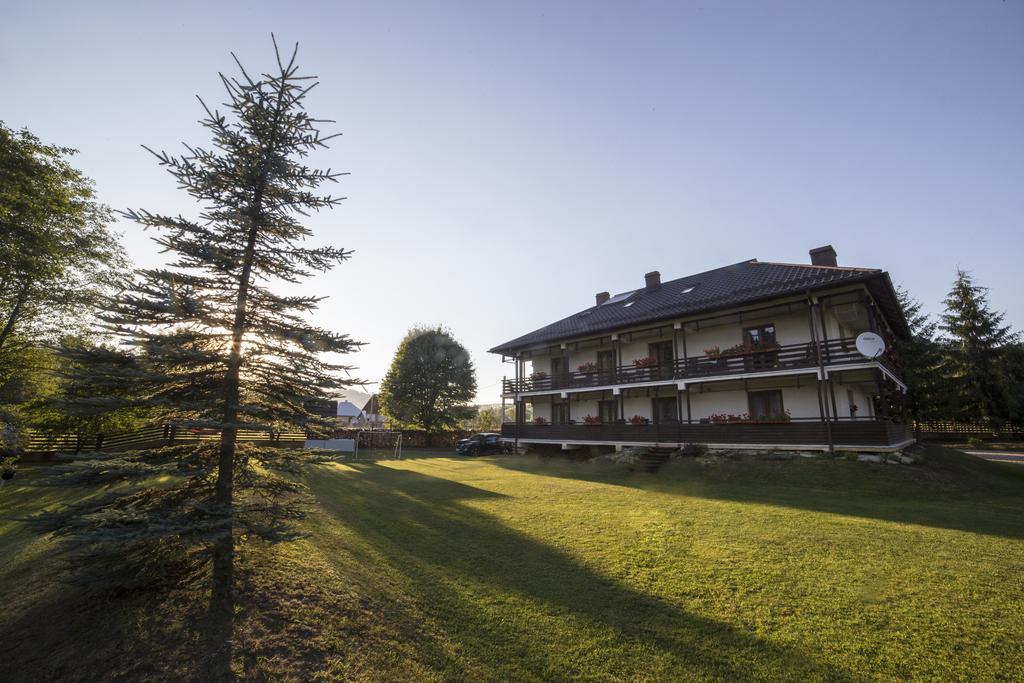 Pensiunea Irina Vama  Exterior photo